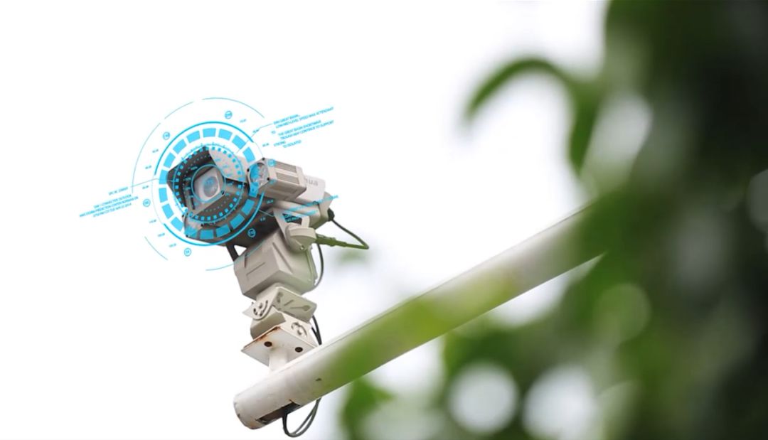 佛山高速交通违法抓拍热搜,佛山高速抓拍最新消息