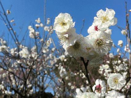 收藏这份交通攻略不走弯路,收好这份攻略