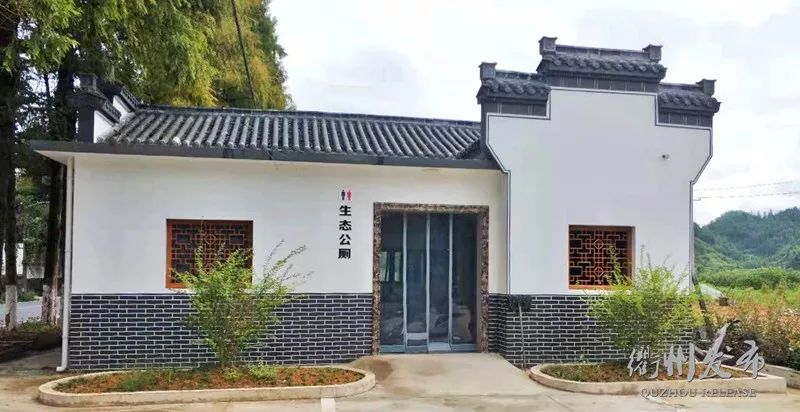 这一次，头条留给——衢州的56个厕所！