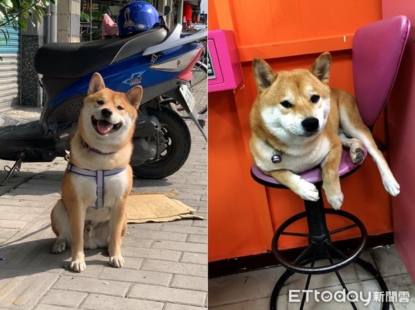 痴汉柴见短裙黑丝辣妹起色心！　双手环抱美腿做不雅动作