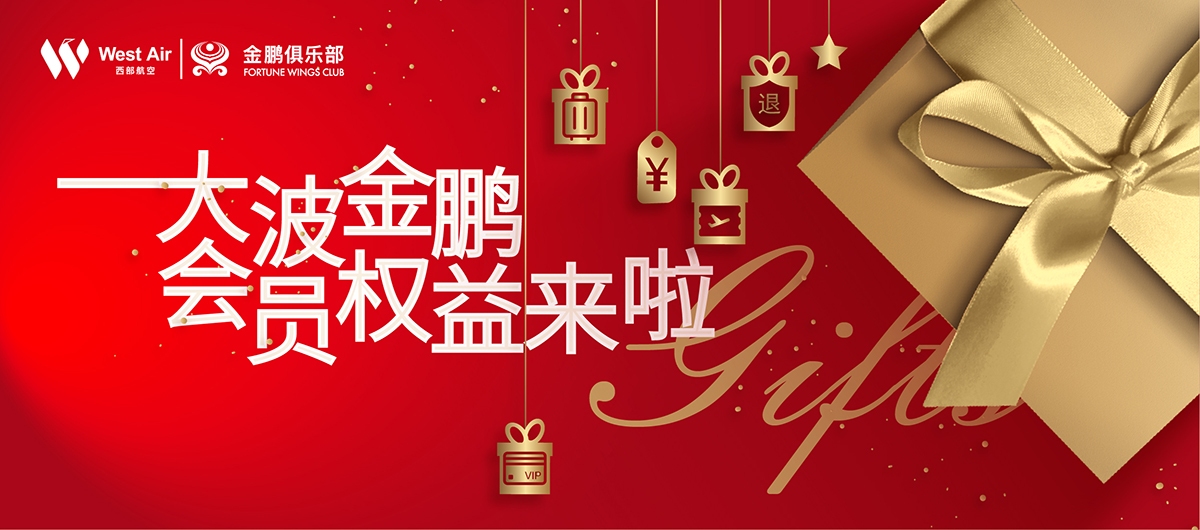 西部航空海航,西部航空和金鹏航空是一家嘛