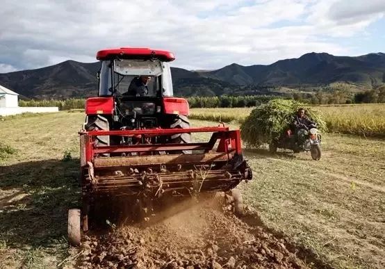 “萌婶儿”和小庙子村的故事