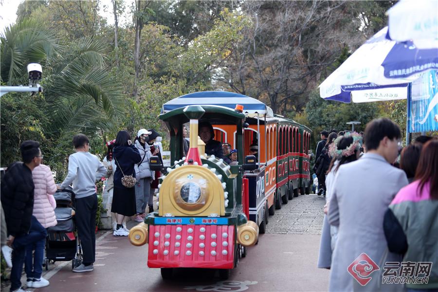 来海洋公园感受快乐,海埂公园白天好玩还是晚上好玩