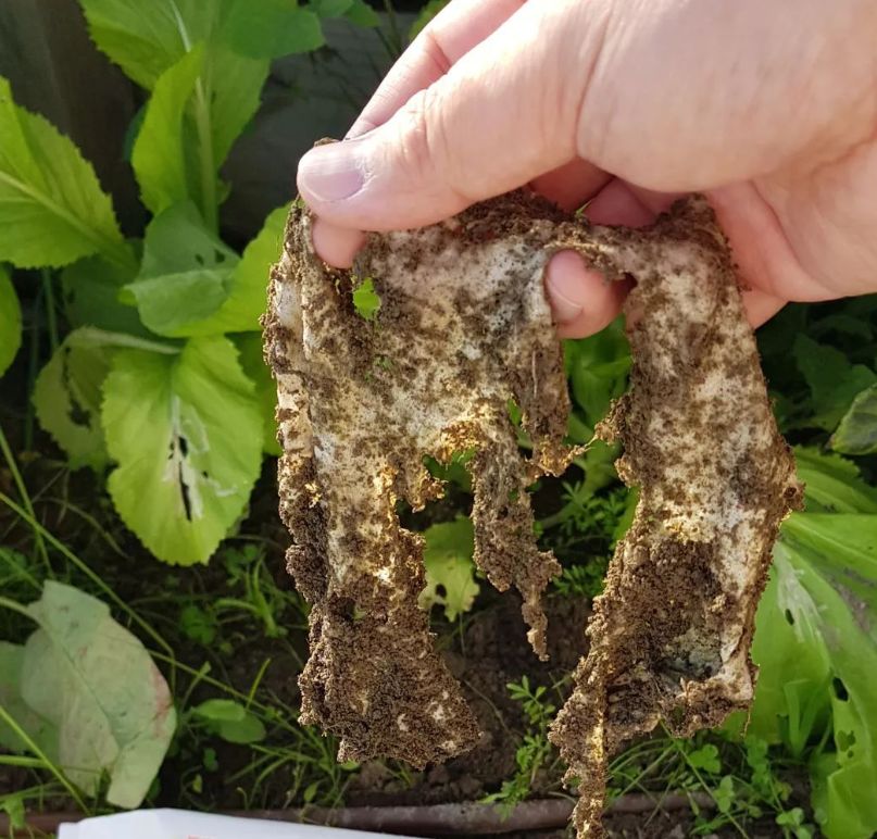 为啥不建议用湿巾,为什么不建议用湿巾