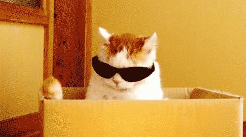 一点点、Coco......冬季茶饮隐藏菜单值得收藏