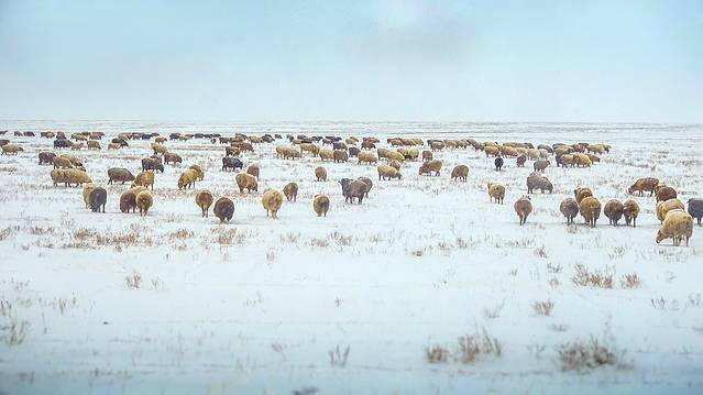 克拉玛依，我在冬季遇见你，荒野冰雪醉美是你