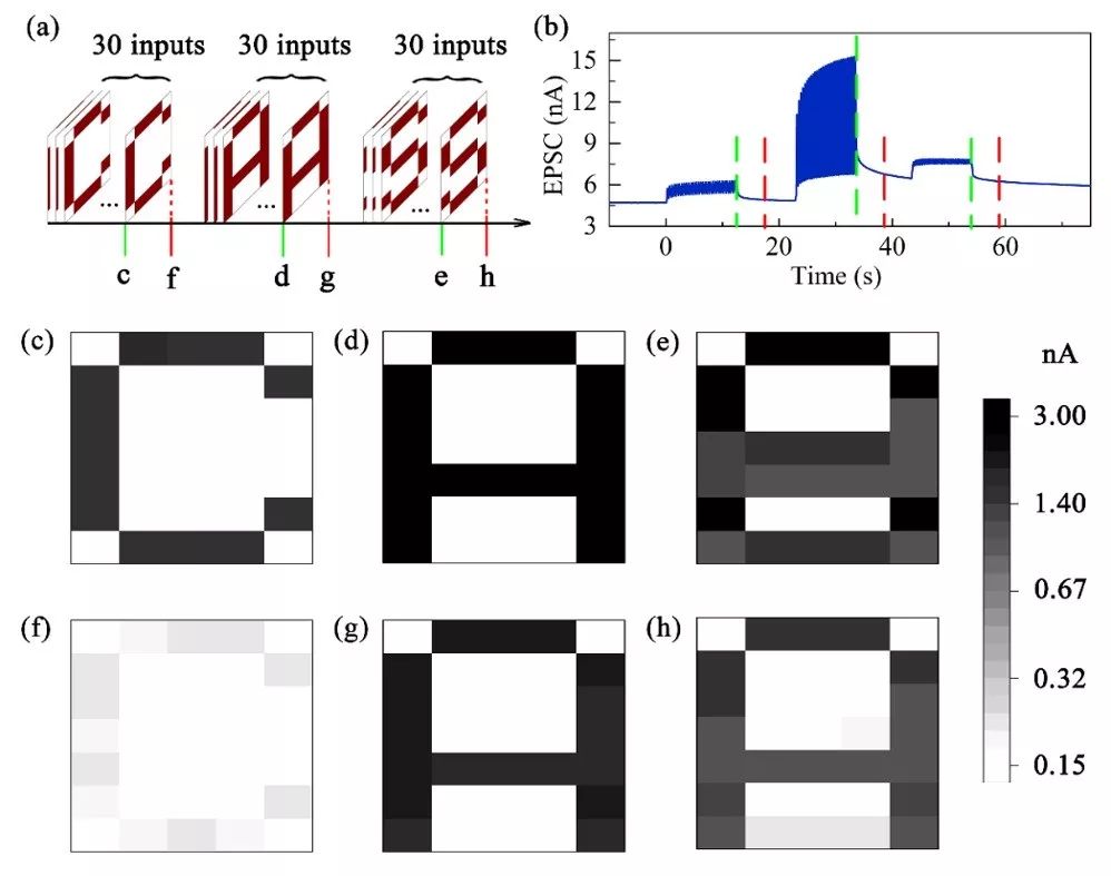 用氧化物定制人脑之梦
