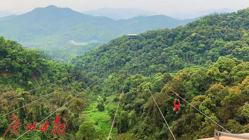 请回答1988广州恒大酒店 (请回答广州2018)