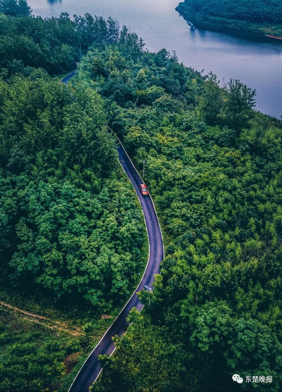 365天，行走3.2万千米，拍摄13万张照片！黄石人到底有多“野”？