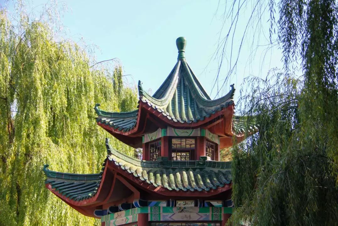 这还是我认识的相机吗,这还是我认识的二哈吗