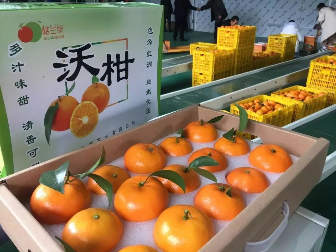 柳城周边游玩景点推荐,柳北旅游推荐