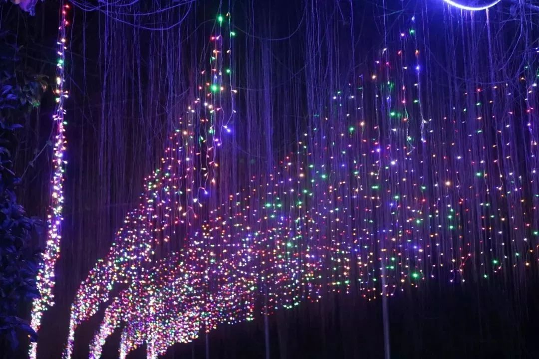 柳城周边游玩景点推荐,柳北旅游推荐