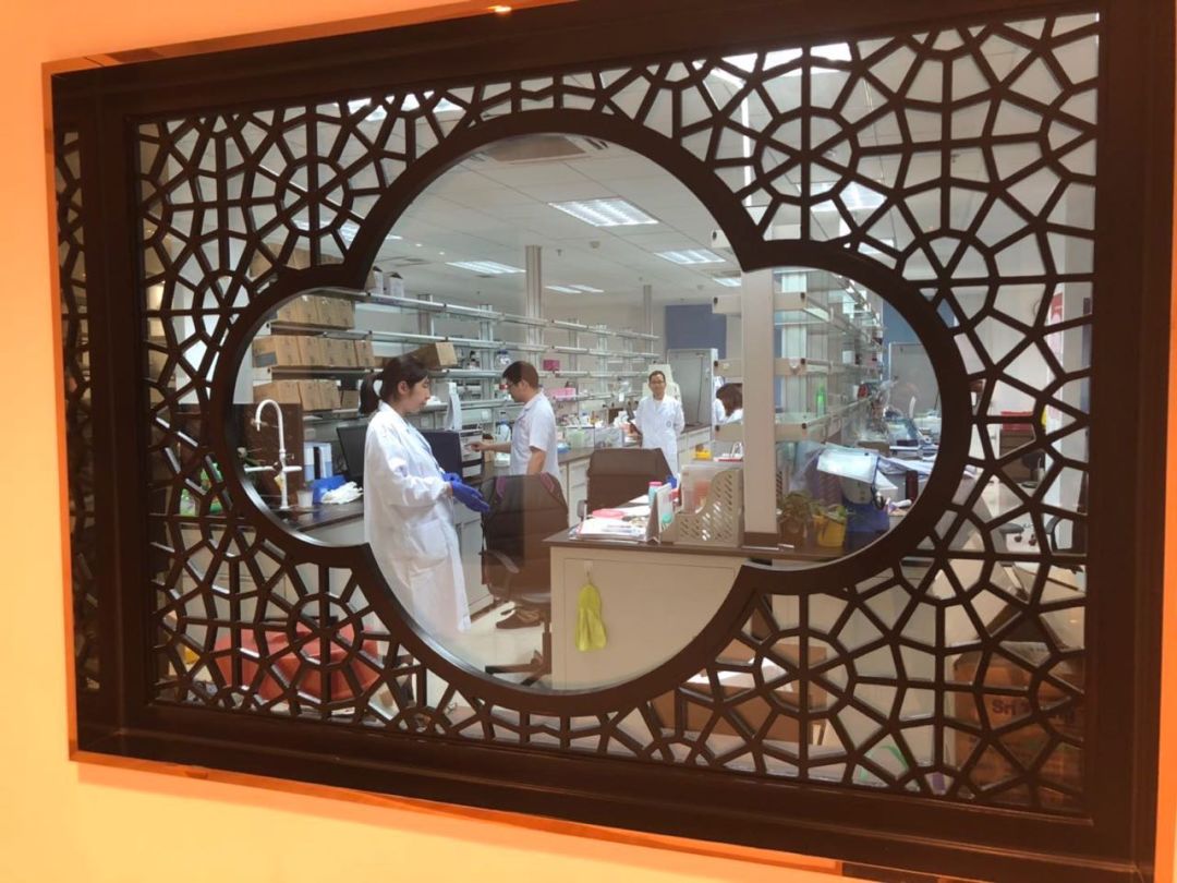 华西天府医院招聘,华西医院最新招聘信息