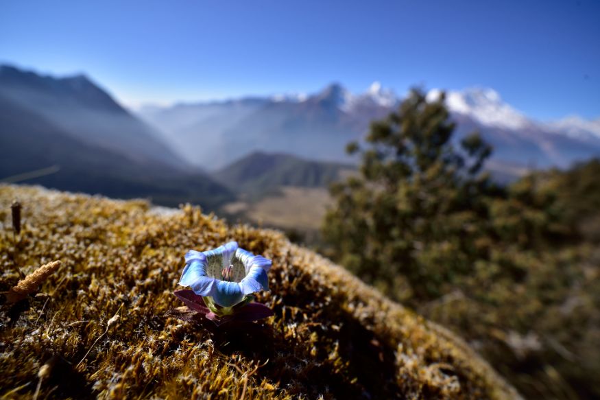 植物过冬用保温棉,冬季房屋防寒小妙招
