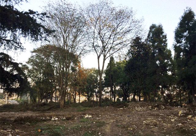 贵州安顺西秀区虹山湖市民公园,西秀区武当路虹山湖市民公园