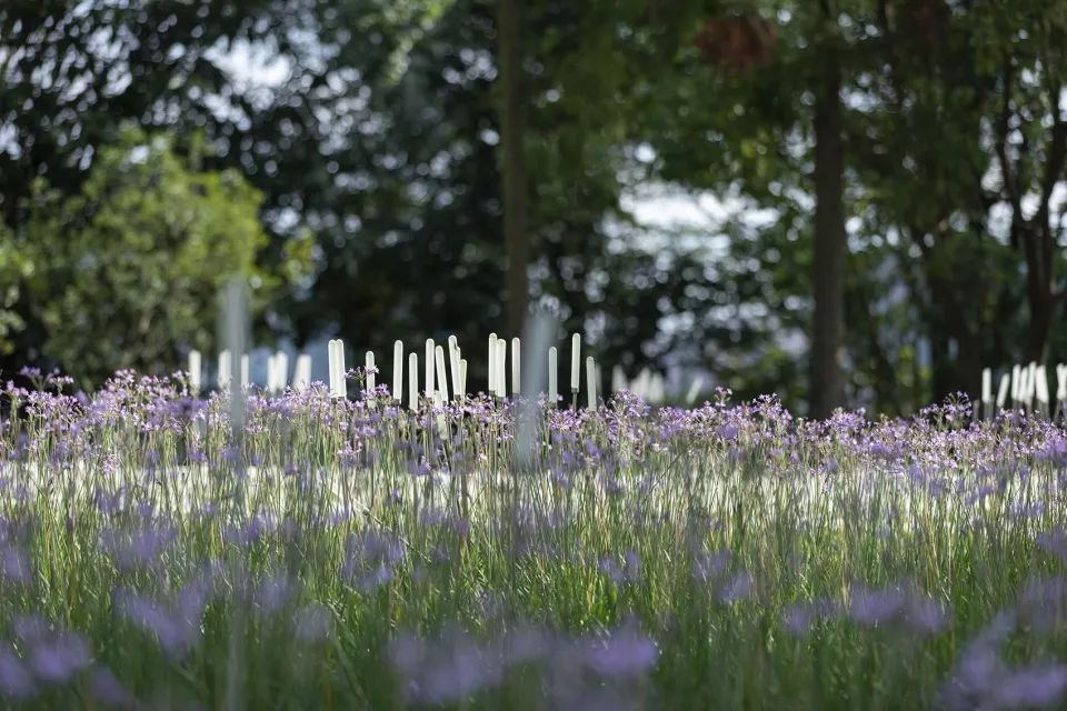 西秀区武当路虹山湖市民公园,安顺虹山湖市民公园