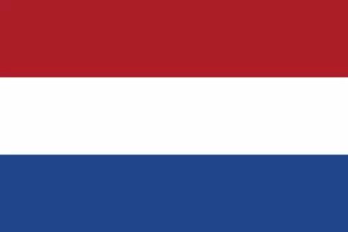 新年立了一个flag,年初你都立过哪些flag