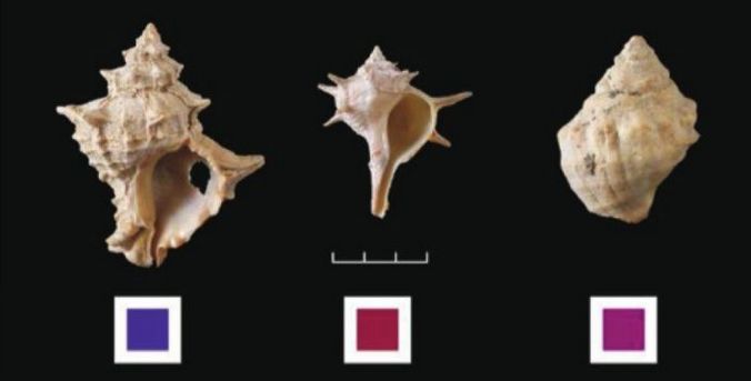 新年flag你们立好了吗,新年立个不倒的flag