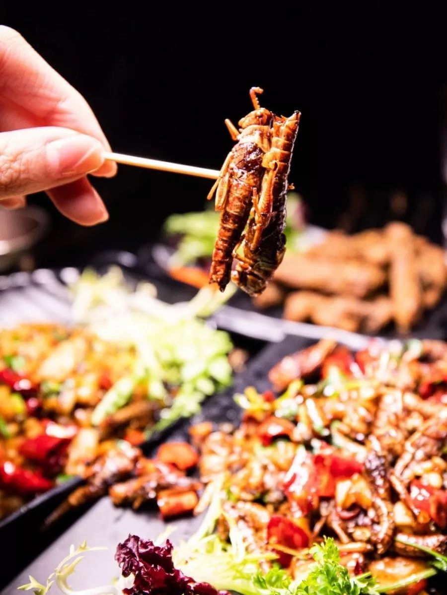 南宁酒吧品牌,南宁曾经最辉煌的酒吧