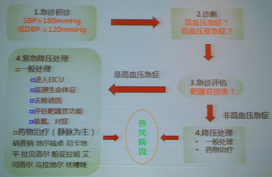 高血压急症的诊治策略,高血压急症的最主要护理诊断