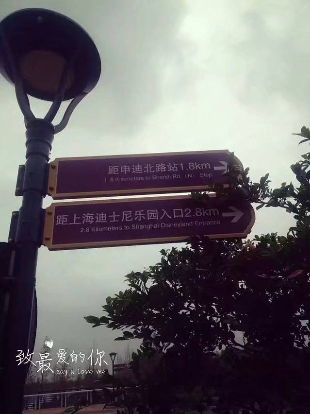 蜜月上海旅游攻略,上海迪士尼游玩美食攻略