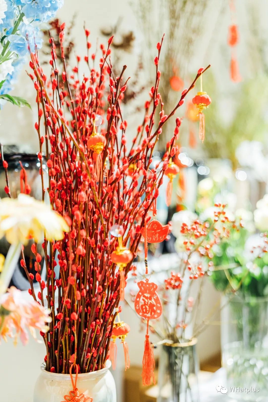 武汉最大鲜花批发市场,武汉哪个市场鲜花最便宜