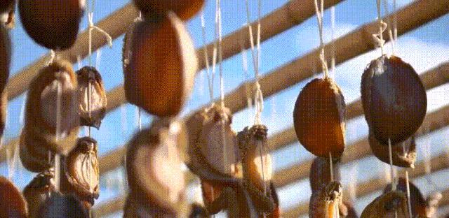 鲍鱼卖出白菜价,25个头的鲍鱼多少钱一只