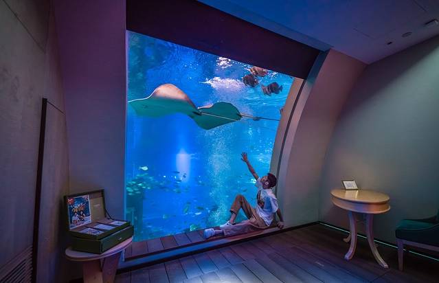 在新加坡圣淘沙玩几天,在新加坡怎么去圣淘沙