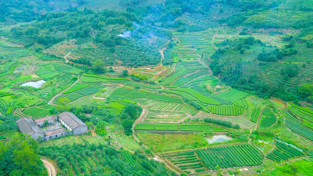 吃喝玩乐云霄,云霄吃喝玩乐一日攻略