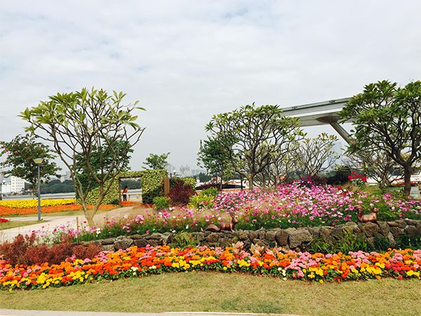 广州海珠区免费公园推荐,海珠区最近的公园
