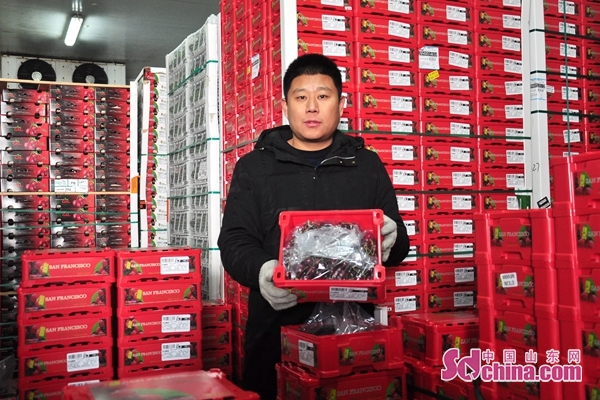 即墨鼎信车厘子行情,最近即墨东方鼎信水果行情