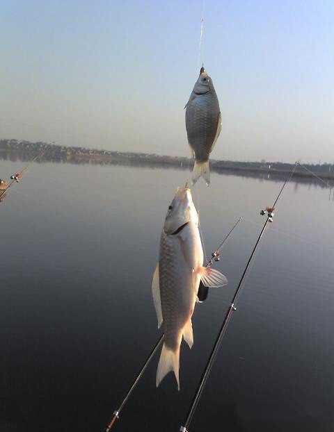 鱼钩串钩绑法为什么串钩钓不到鱼,串钩的钓法和技巧