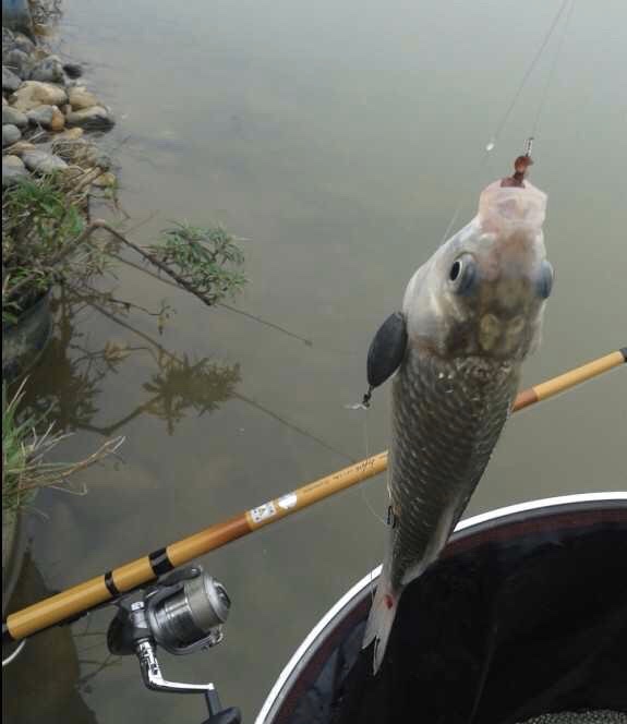 鱼钩串钩绑法为什么串钩钓不到鱼,串钩的钓法和技巧