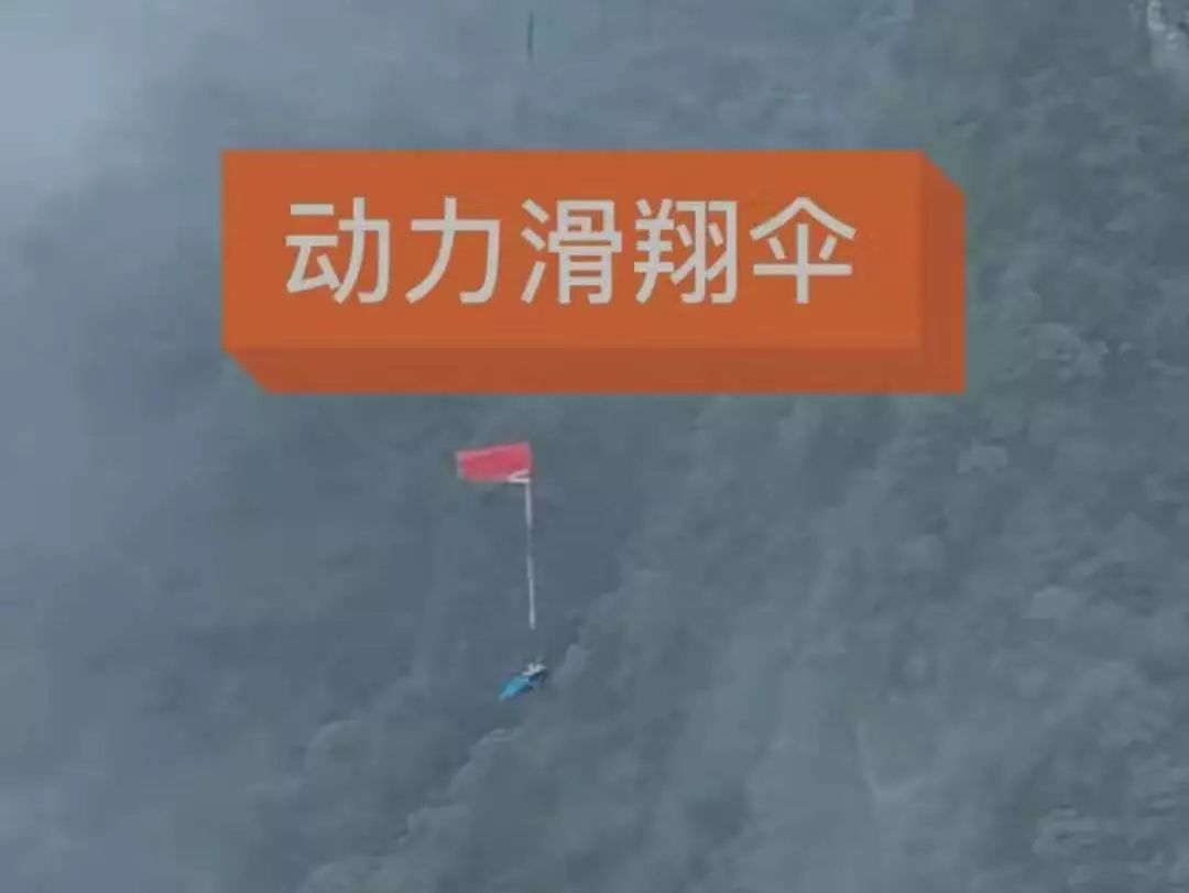 本来想去薅羊毛，却沉迷在这张“活的”地图上……