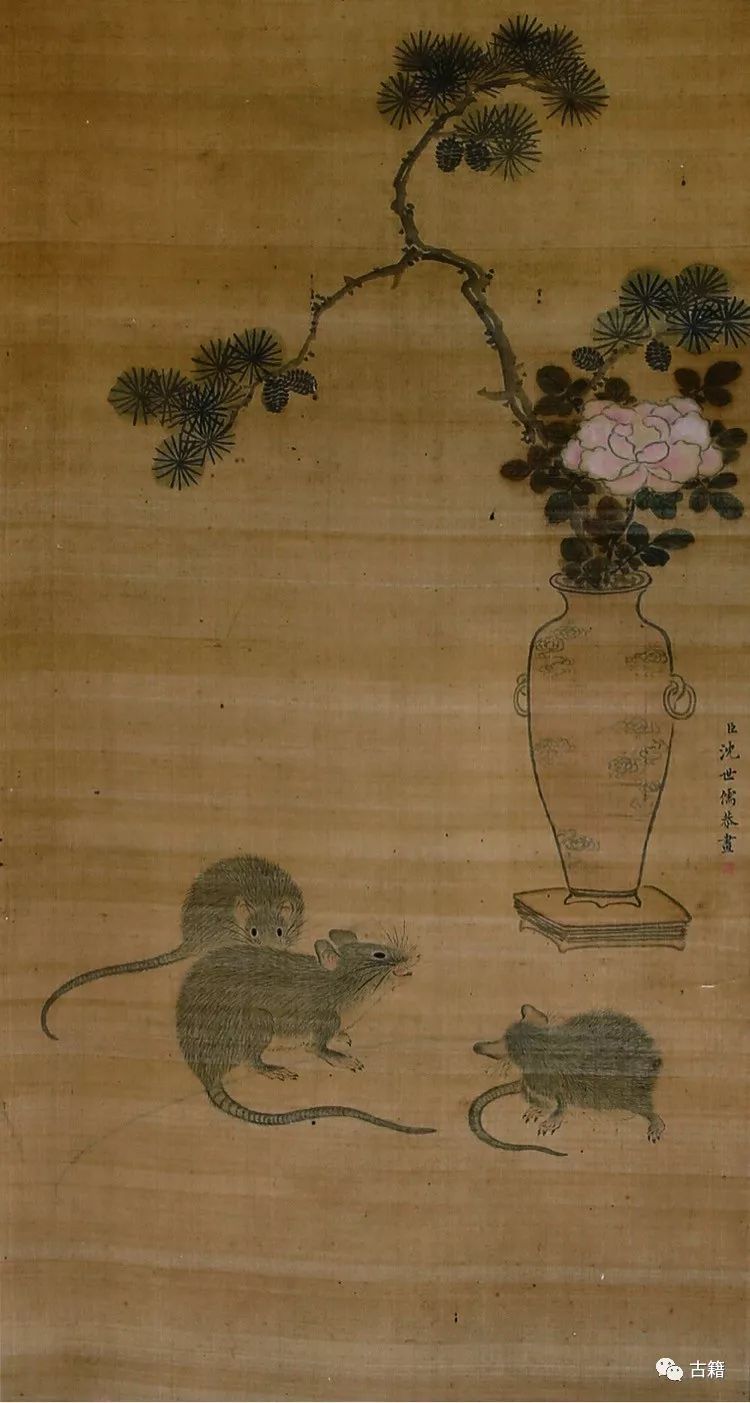 鼠年春晚说鼠,央视科普鼠年说鼠