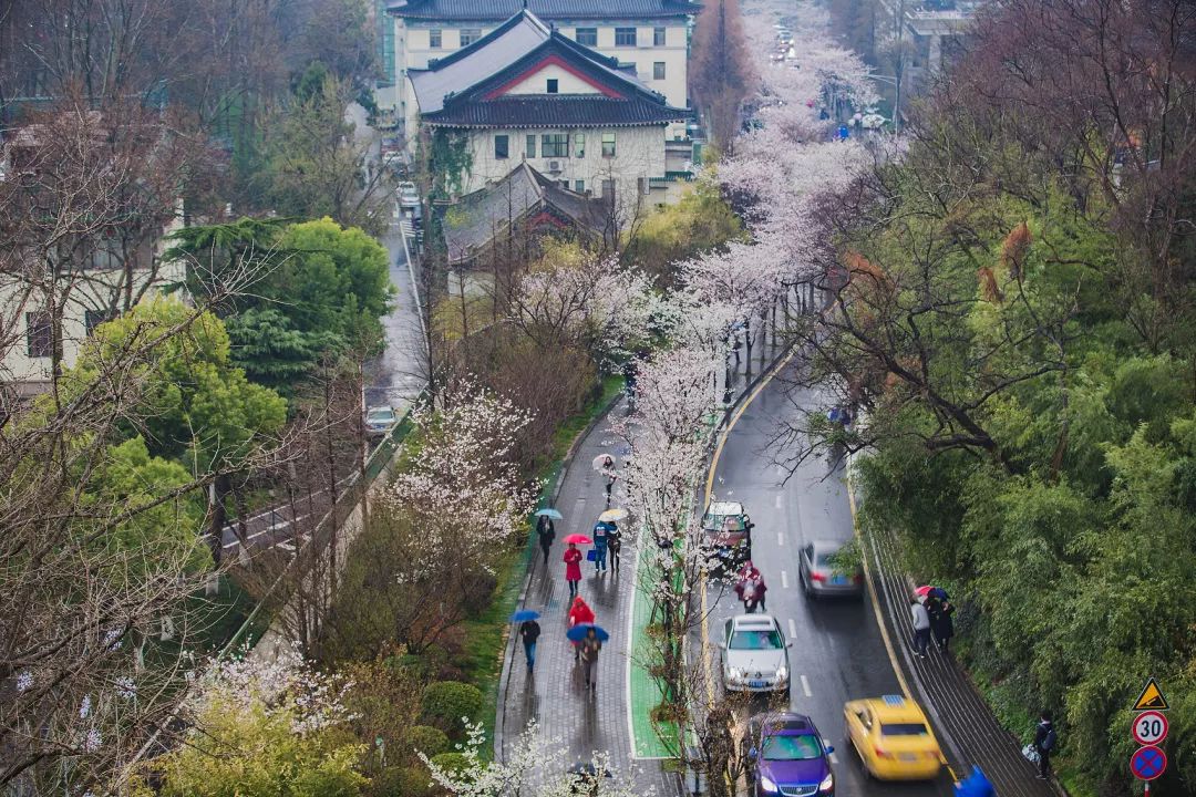 南国的两面:江南vs岭南