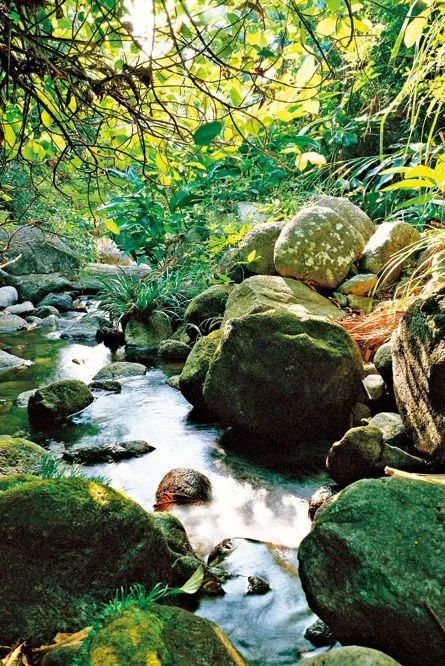 南国的两面：江南vs岭南