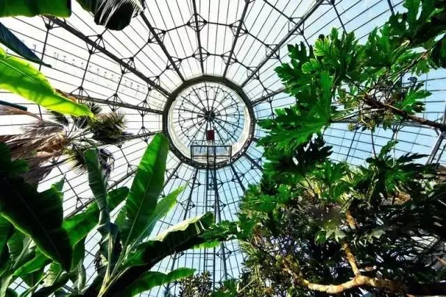 休闲农业和观光农业,休闲观光农业经验