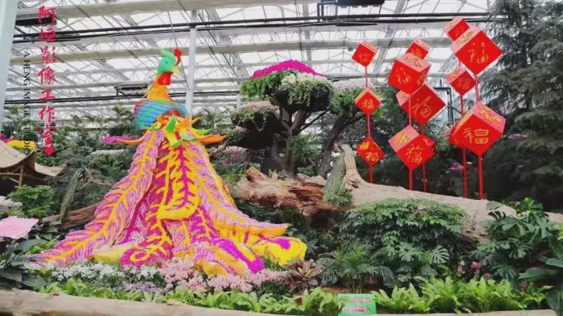 临沂市兰陵国家农业公园旅游区,临沂兰陵国家农业公园