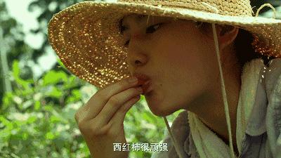 宅在家里也能拍出大自然风景,宅在家里挖掘自己的潜能