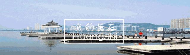 西塞山区8个团体典型被通报表扬