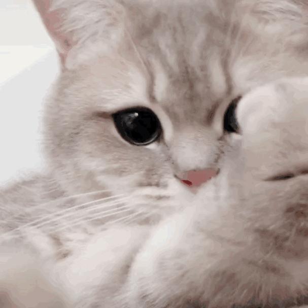 50左右高颜值运动鞋,100-200百搭运动鞋