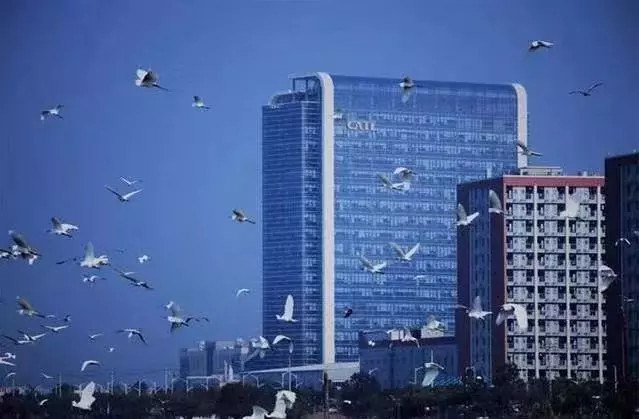 从特斯拉到特斯拉汽车,从宁德时代到宁德新能源