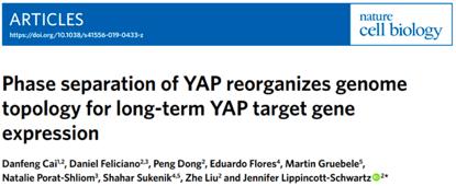 nature子刊《scientificdata》,nature子刊sci