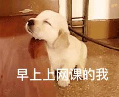 为了让你宅在家里，现在你能免费使用这些付费资源