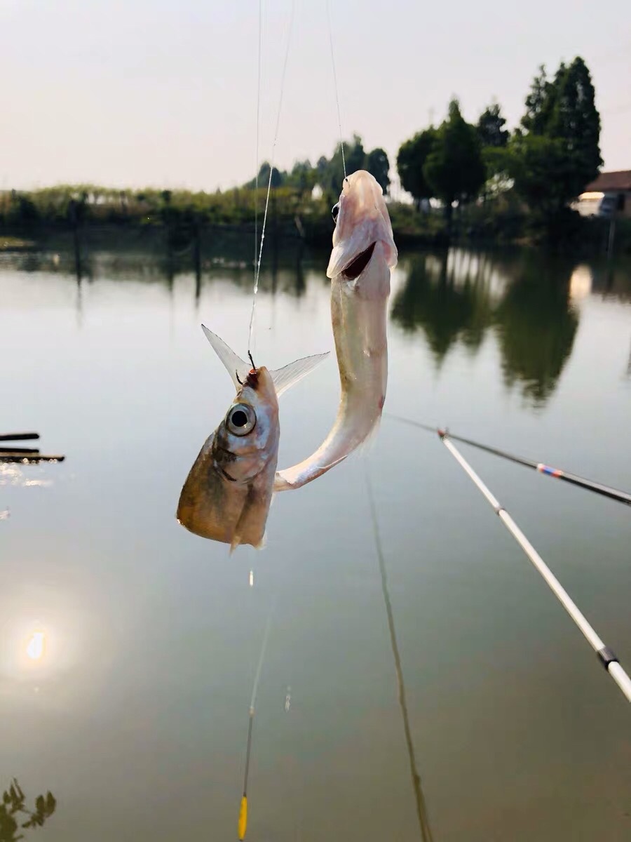 晚春钓鱼秘诀大全,早春钓鱼四字口诀