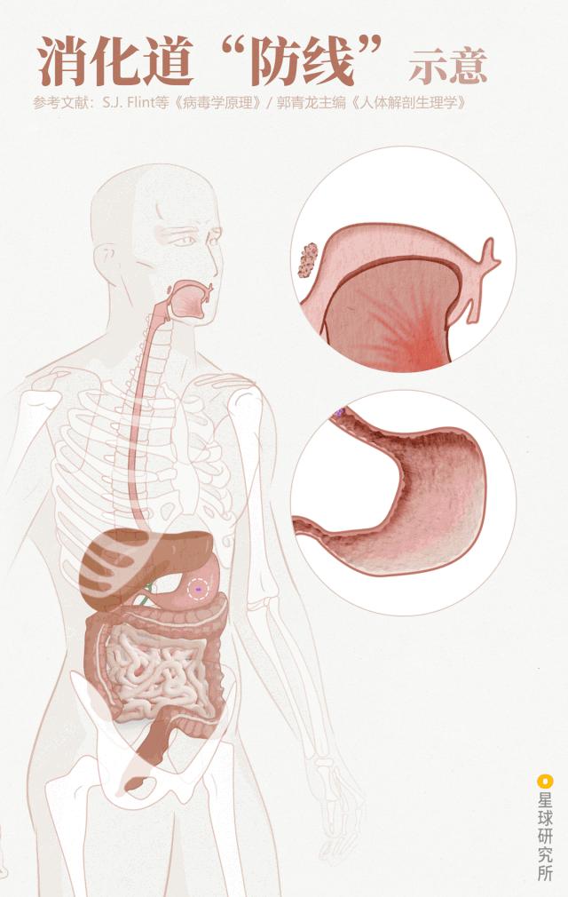 鍋囧鐥呮瘨鎰熸煋浜嗕綘,鍋囧鐥呮瘨鎰熸煋浜嗘垜