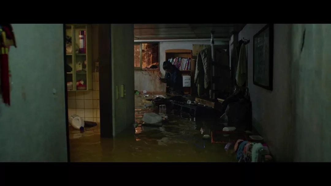 引进可以，跪求少删减…