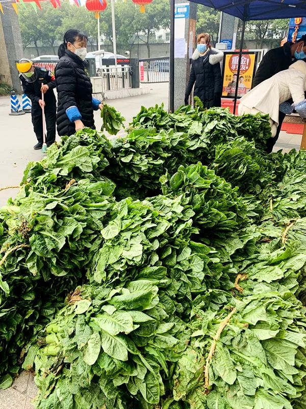 买菜难电商平台最后一公里,买菜难