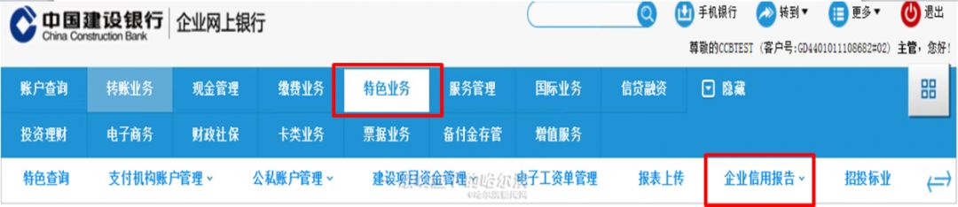 企业信用报告线上能查询打印吗,企业网上查询个人征信